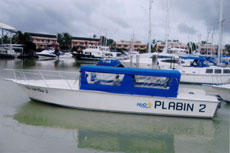 Plabin 2